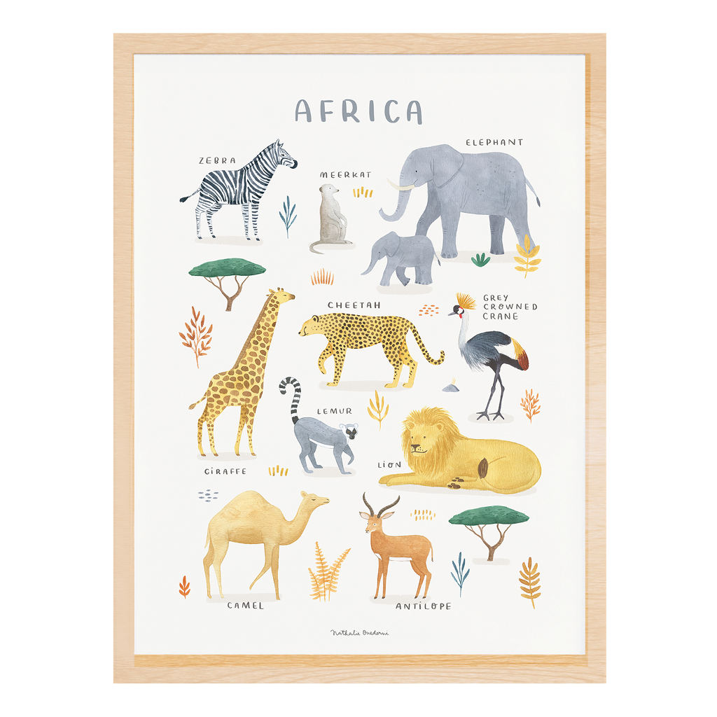 Animals From Africa Lilipinso poster 30 x 40 cm