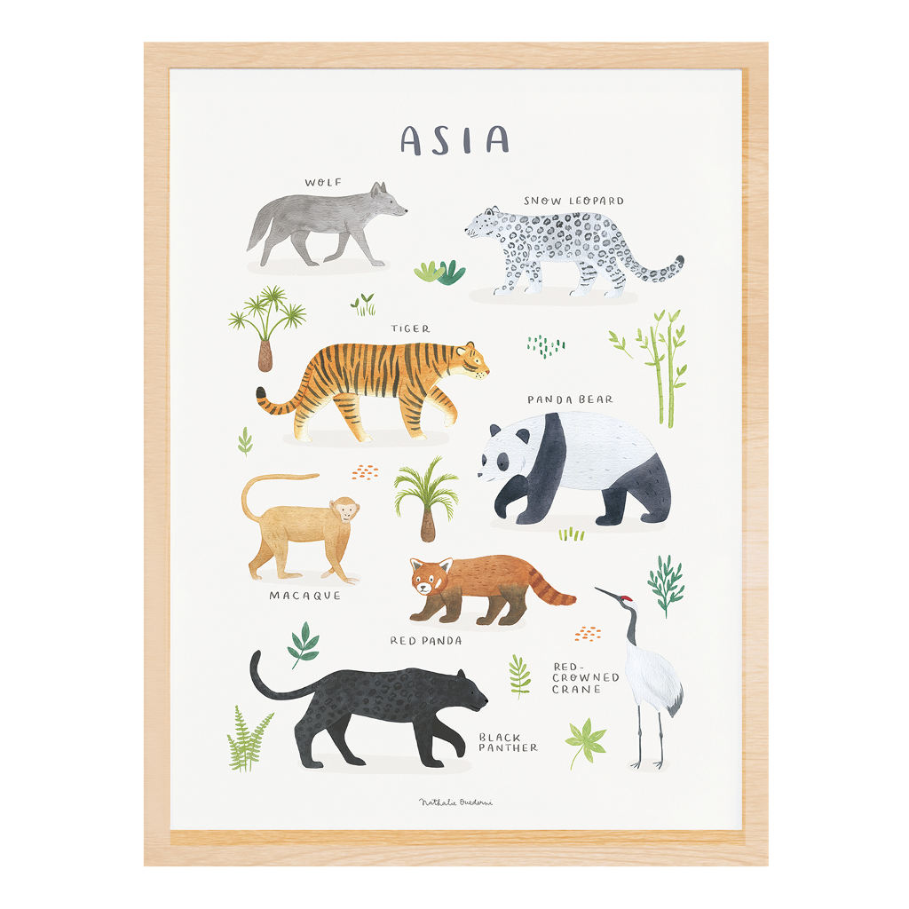 Animals From Asia Lilipinso poster 30 x 40 cm