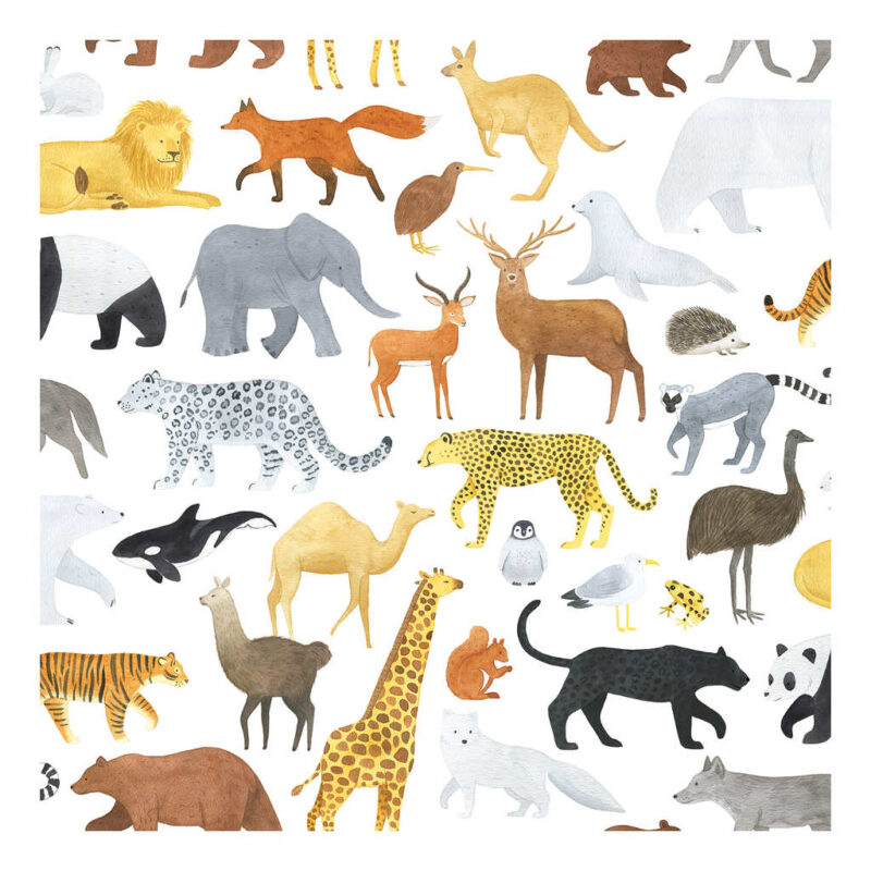 Animalia Lilipinso kinderbehang 50 cm x 10 m