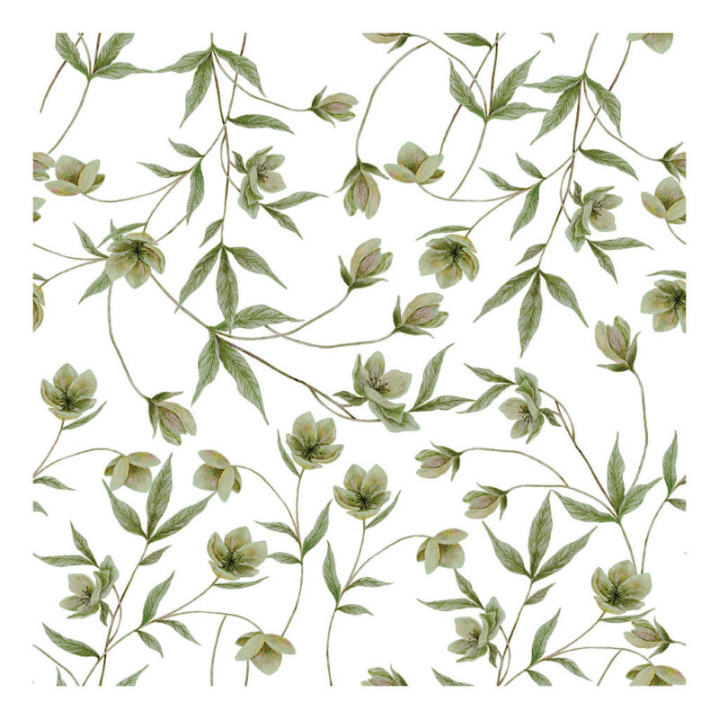 Hellebores Green Lilipinso kinderbehang 50 cm x 10 m