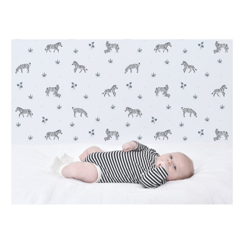 Zebras Panorama Lilipinso kinderbehang 50 cm x 10 m