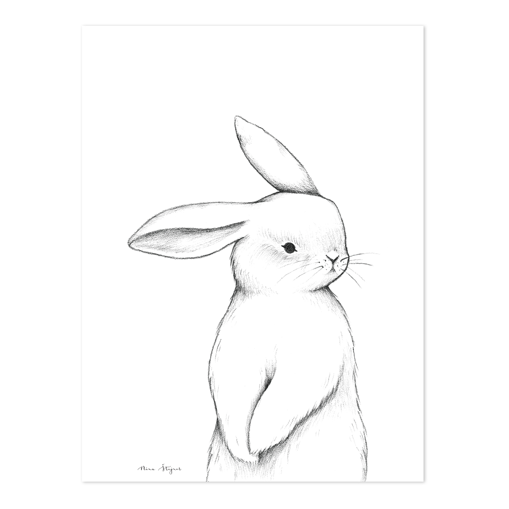 Bunny Front View Lilipinso poster 30 x 40 cm