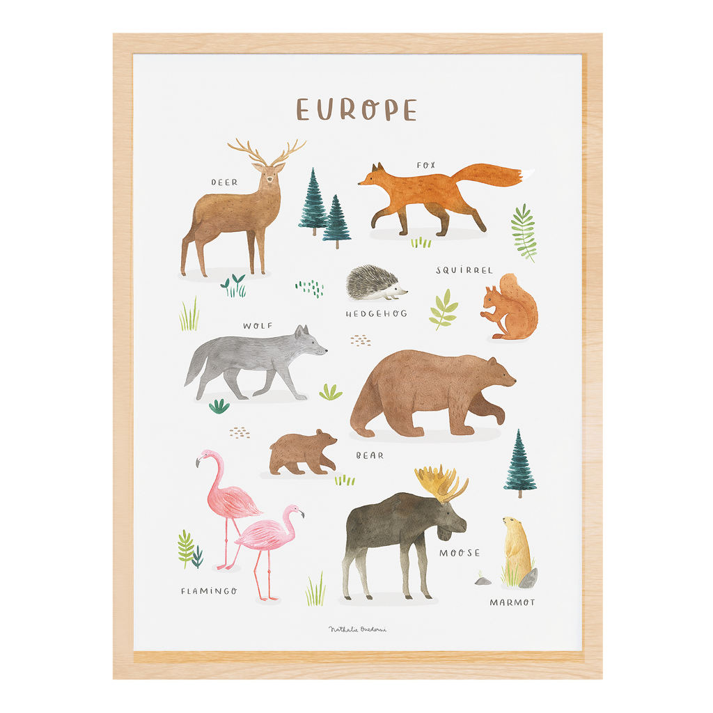 Animals From Europe Lilipinso poster 30 x 40 cm