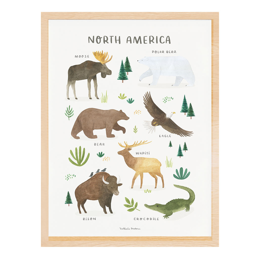 Animals From North America Lilipinso poster 30 x 40 cm