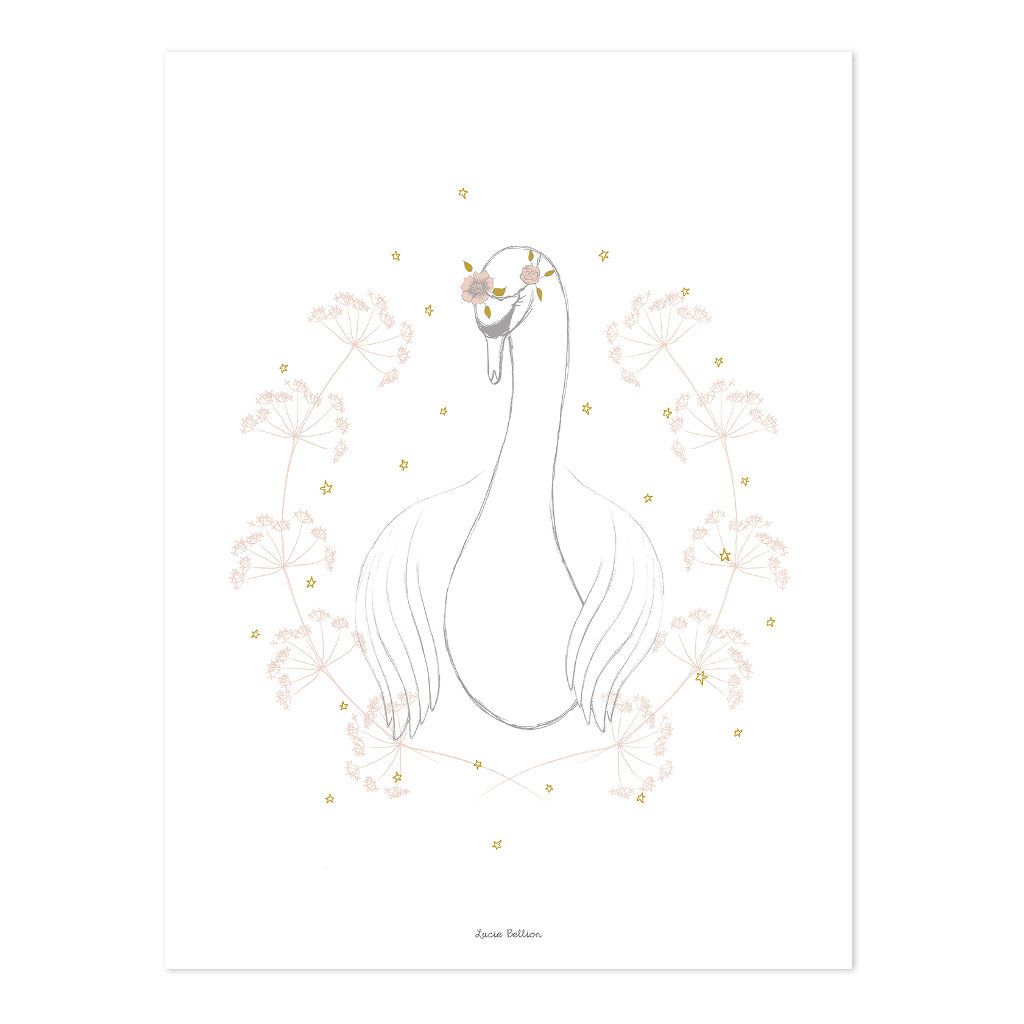 Botany Swan Lilipinso poster 30 x 40 cm