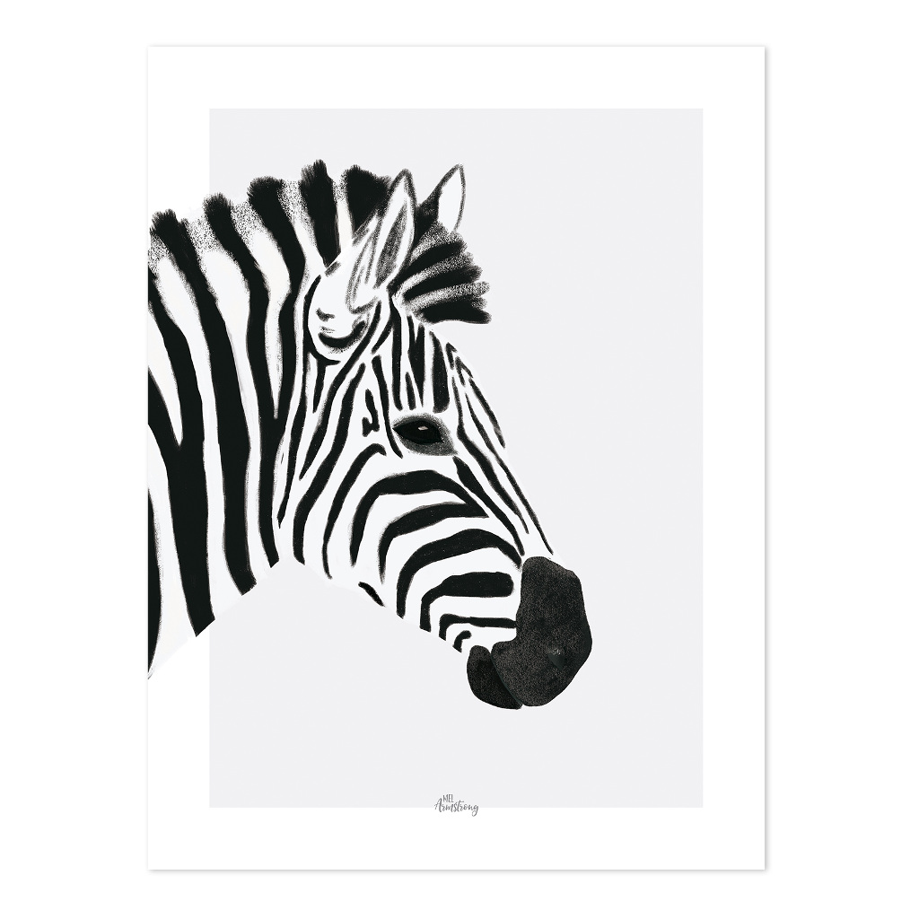 Zebra Lilipinso poster 30 x 40 cm