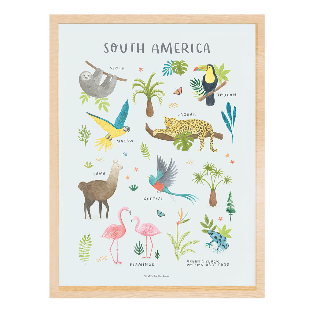 Animals From South America Lilipinso poster 30 x 40 cm